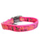 Resting Witch Face Nylon Dog Collar