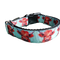 Highland Cows Nylon Dog Collar