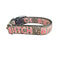 Bitch Leopard Print Nylon Dog Collar