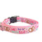 Don't Be A Salty Bitch Pretzel Nylon Dog Collar