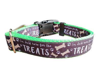 Coleira de Nylon Verde Neon para Cães Here For The Treats MD, LG, XL, Guia
