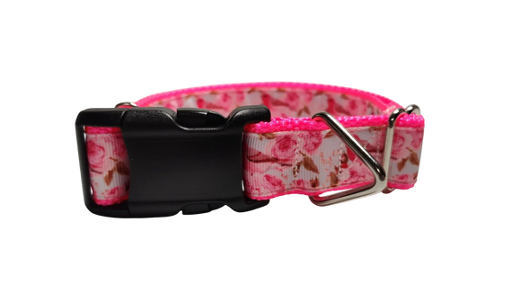 Rose Finch Bird Nylon Dog Collar