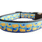 Coleira de Nylon para Cachorro Mac And Cheese MD, GR, XG, Guia