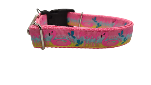 Coleira de Nylon para Cachorros "Pool Hair Don't Care"