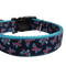 Pink and Blue Butterflies Nylon Dog Collar