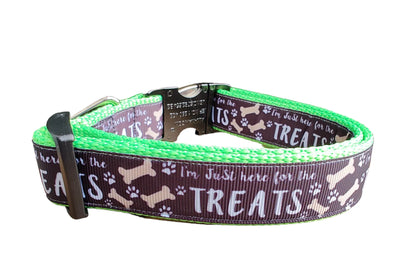 Coleira de Nylon Verde Neon para Cães Here For The Treats MD, LG, XL, Guia