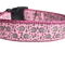 Hedgehog Nylon Dog Collar