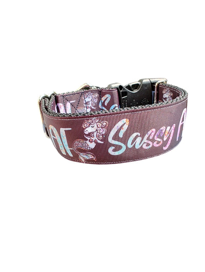 Coleira de Nylon para Cachorro Sassy AF 3,8 cm de Largura
