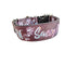 Coleira de Nylon para Cachorro Sassy AF 3,8 cm de Largura