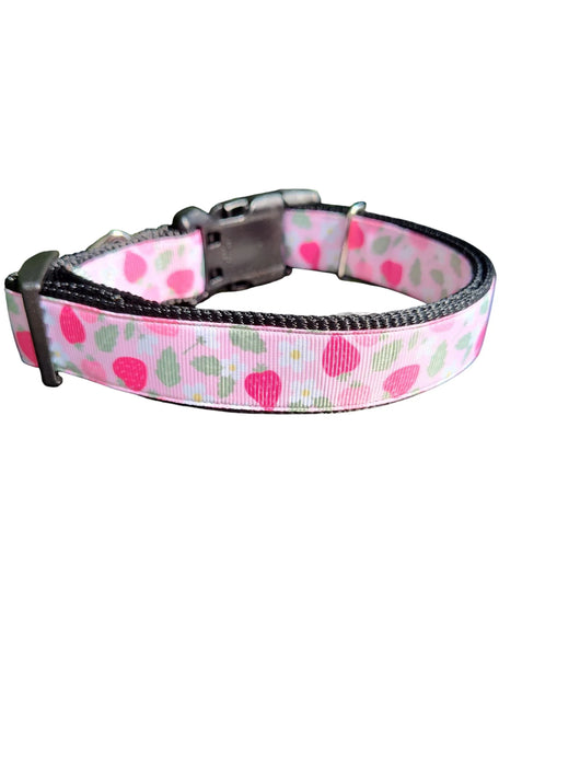 Pink Strawberries Nylon Dog Collar