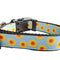 Yellow Flowers Black Nylon Dog Collar MD, LG, XL, Leash