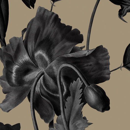 Pijama Pantalón y Camisa Camel