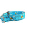 Coleira de Cachorro em Nylon Sweet As Can Bee de 3,8 cm de Largura