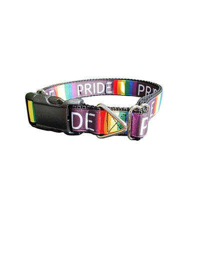 Coleira de Nylon para Cachorros Pride Arco-Íris