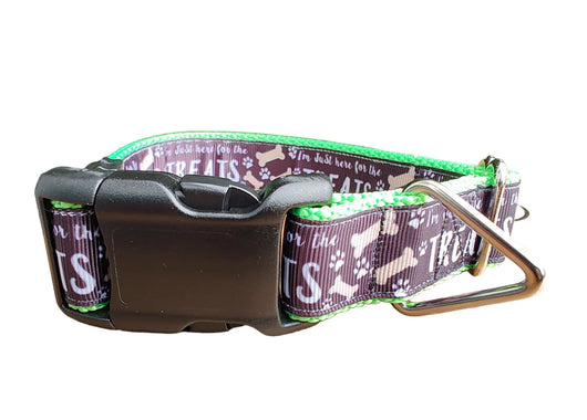Coleira de Nylon Verde Neon para Cães Here For The Treats MD, LG, XL, Guia