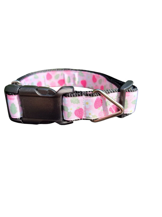 Pink Strawberries Nylon Dog Collar