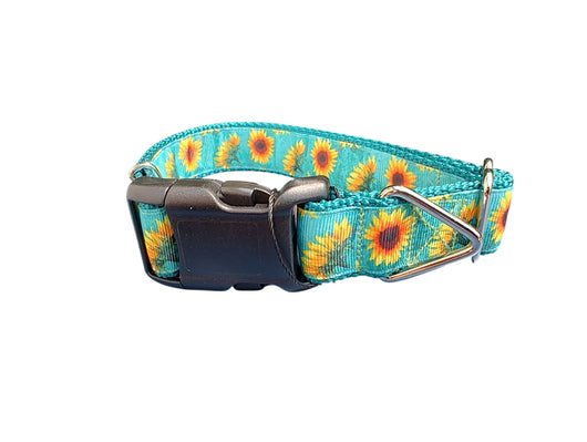 Sunflower Heads Nylon Dog Collar