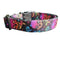 Mushrooms and Skulls Nylon Dog Collar