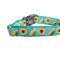 Sunflower Heads Nylon Dog Collar