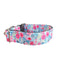 Coleira Larga de Nylon para Cachorro Floral Vibrante de 3,8 cm