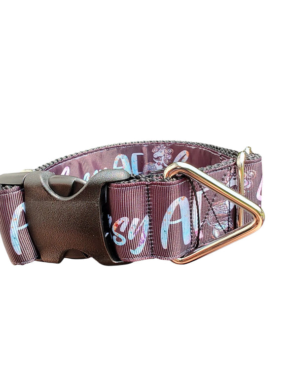 Coleira de Nylon para Cachorro Sassy AF 3,8 cm de Largura
