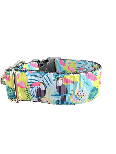 Coleira de cachorro de nylon com tucanos tropicais de 3,8 cm de largura